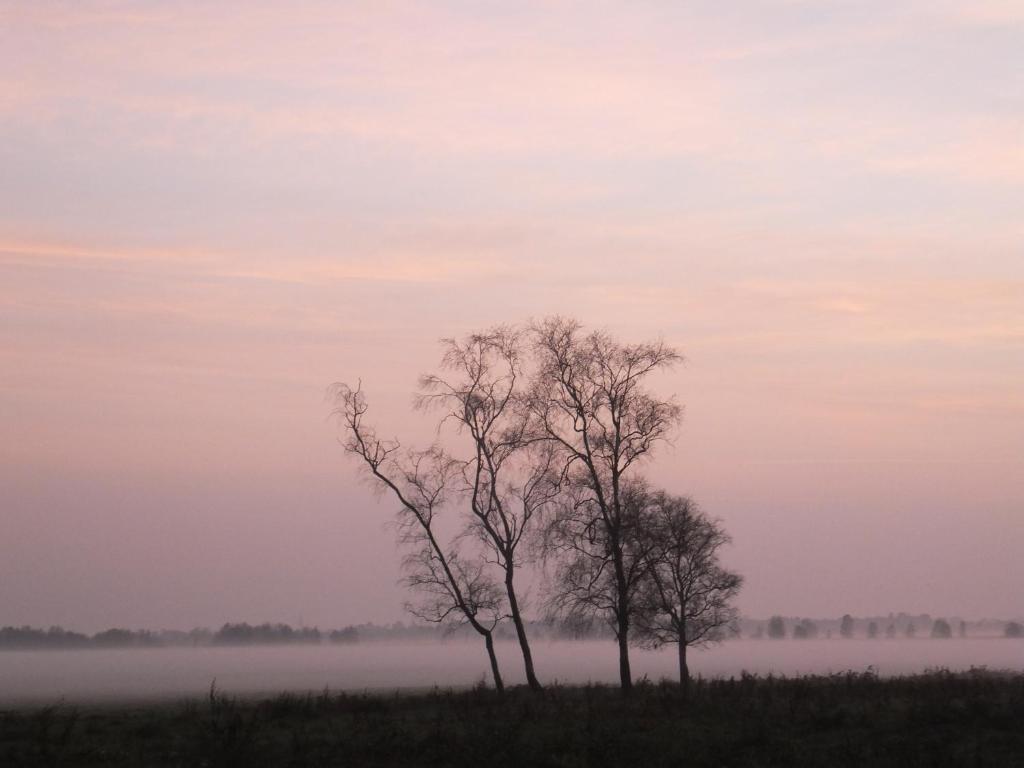 Ferienhaus Langenmoor in der Natur! Abschalten in der Abgelegenheit! Haustiere willkommen! photo 4