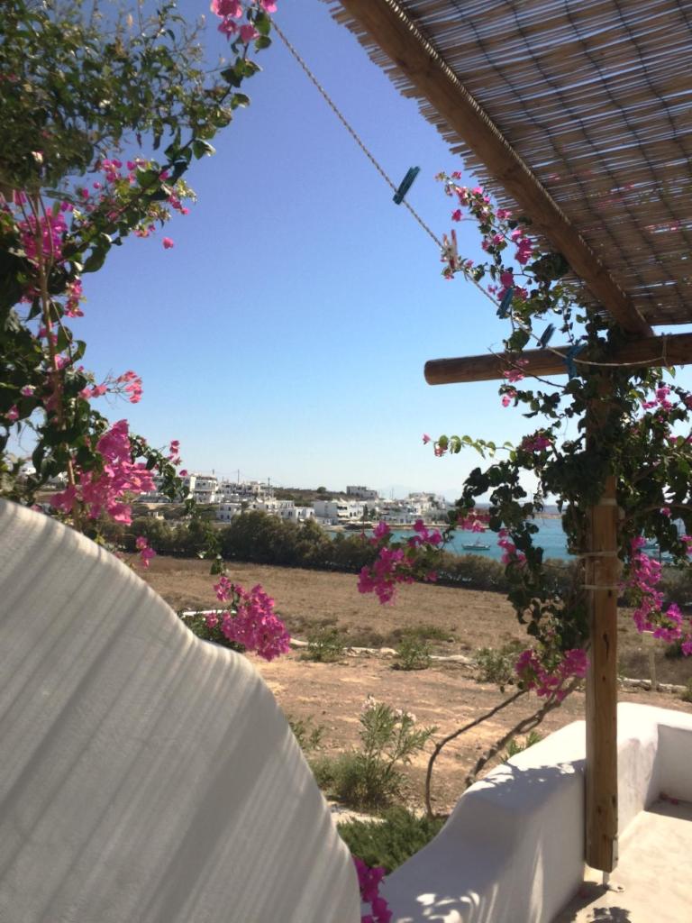 Apollon Koufonisia Studios photo 3