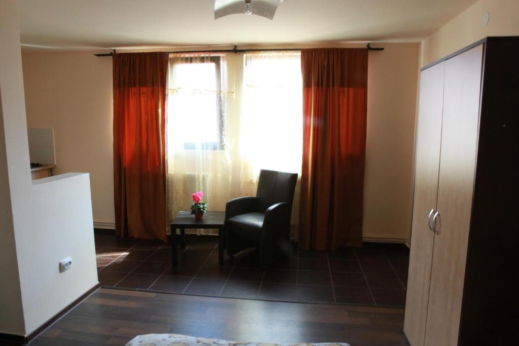 Студио (Номер-студио (для 2 взрослых)), Titulescu Apartments