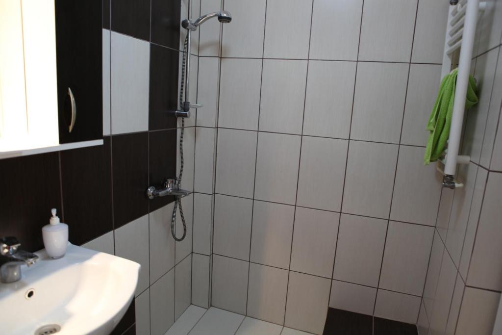 Студио (Номер-студио (для 2 взрослых)), Titulescu Apartments