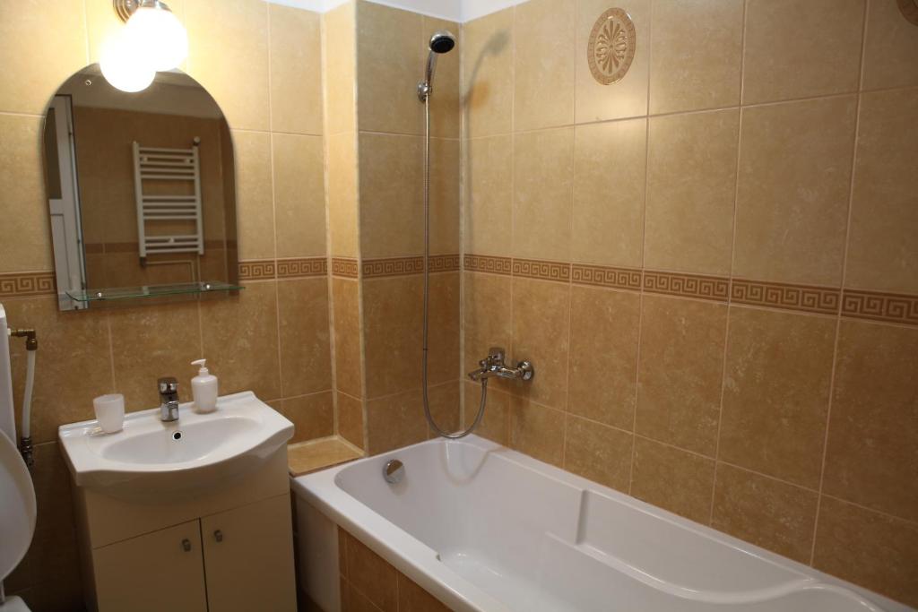 Студио (Номер-студио (для 2 взрослых)), Titulescu Apartments