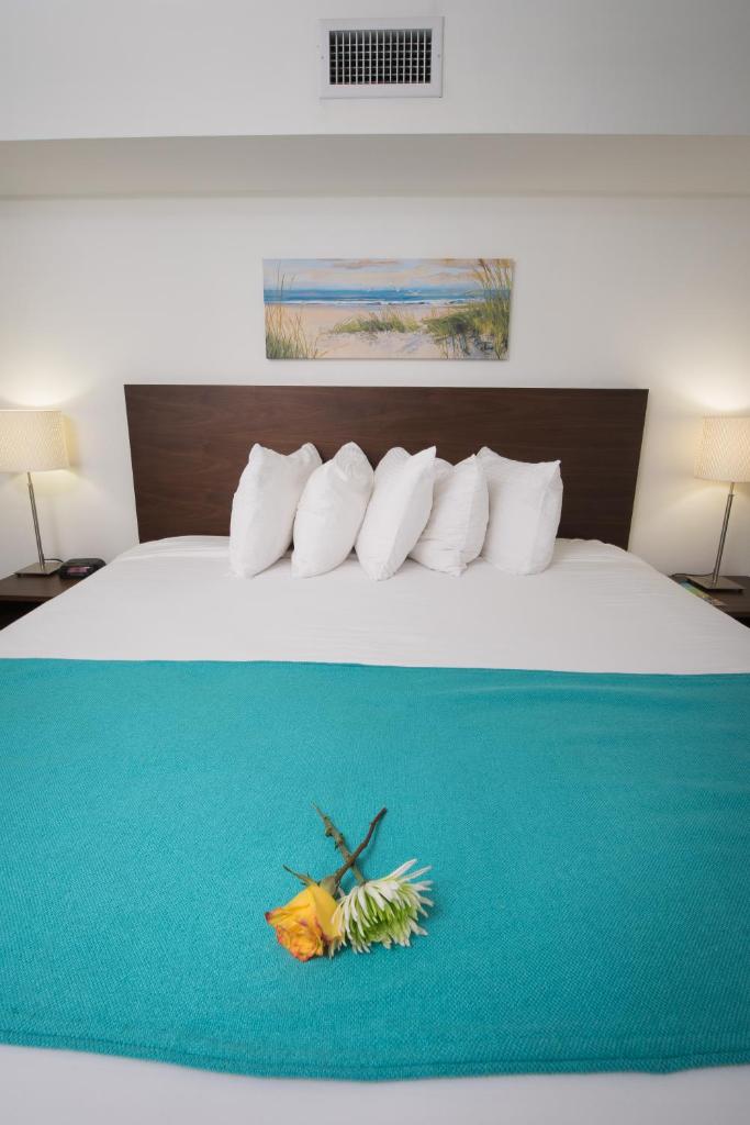 Regency Inn & Suites Sarasota photo 3