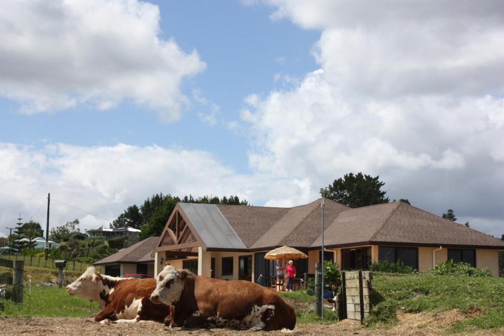 High Ridge House photo 2