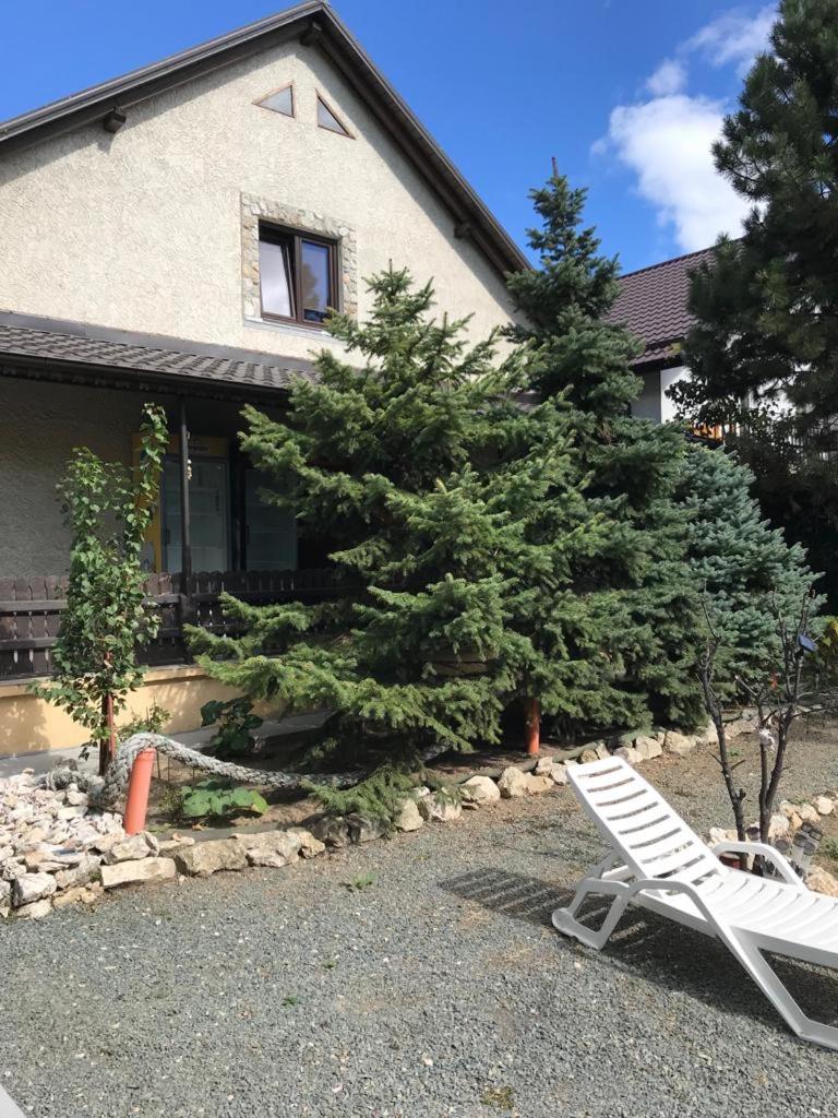 Green Villa photo 1