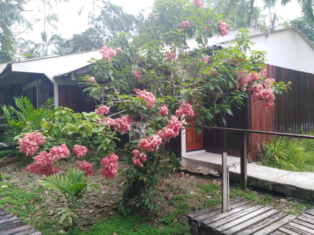 Ceiba Tops photo 1
