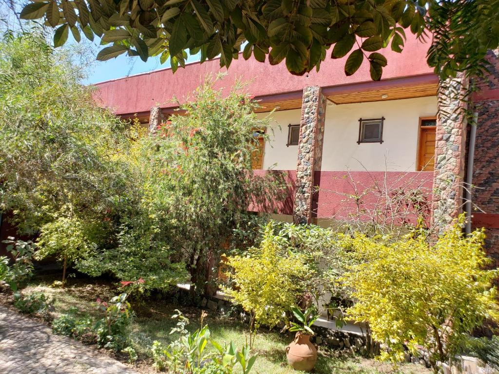 Top Twelve Hotel - Lalibela photo 4