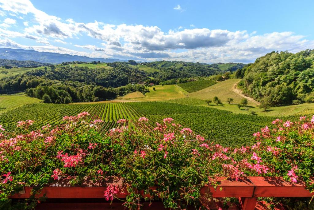 Farm Stay Jarc Vineyard photo 4