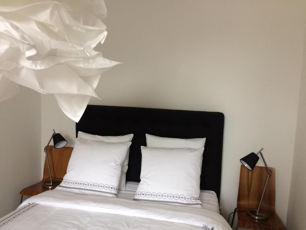 L appartement des bords du Cher photo 1