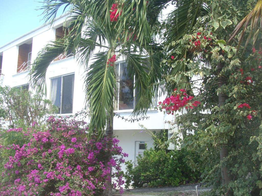 Coral Lane Beach Apartments photo 2