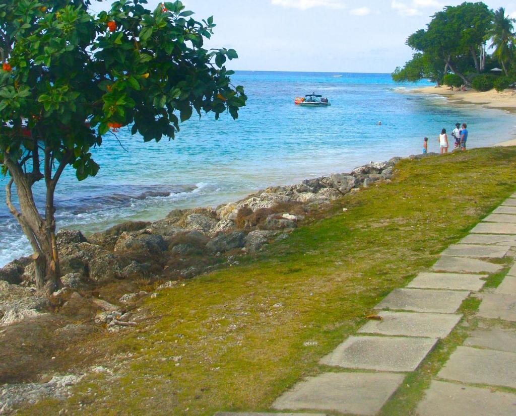 Coral Lane Beach Apartments photo 4