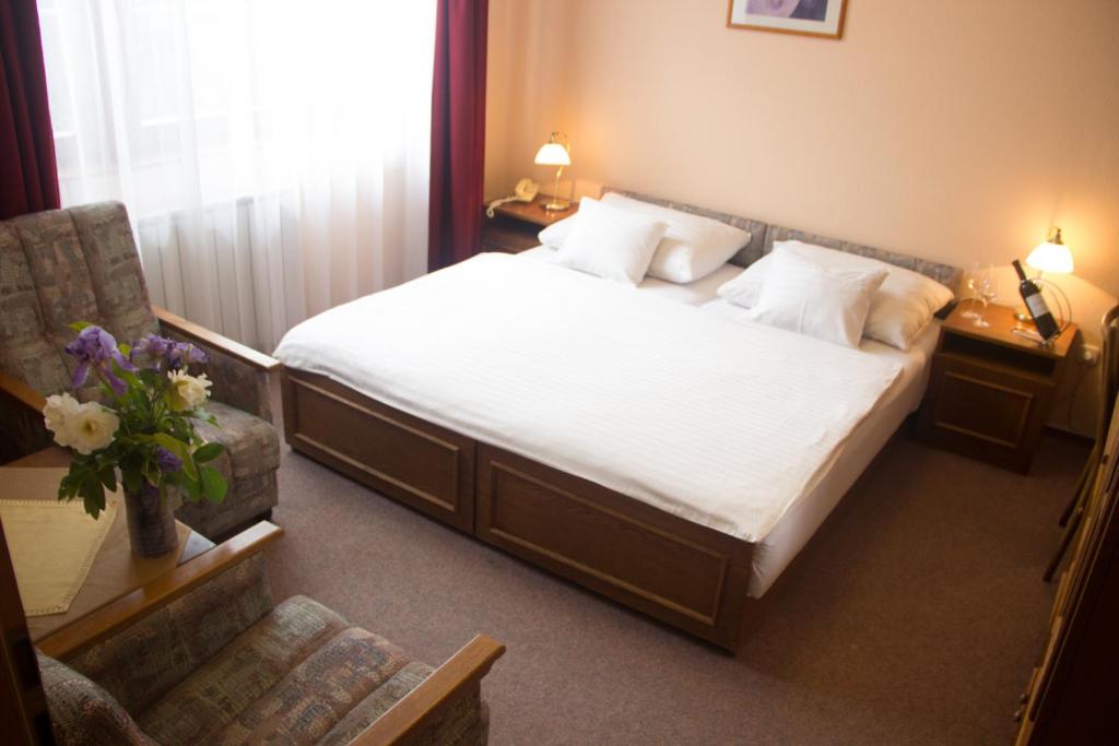 Двухместный (Двухместный номер с 1 кроватью), Hotel Molnár
