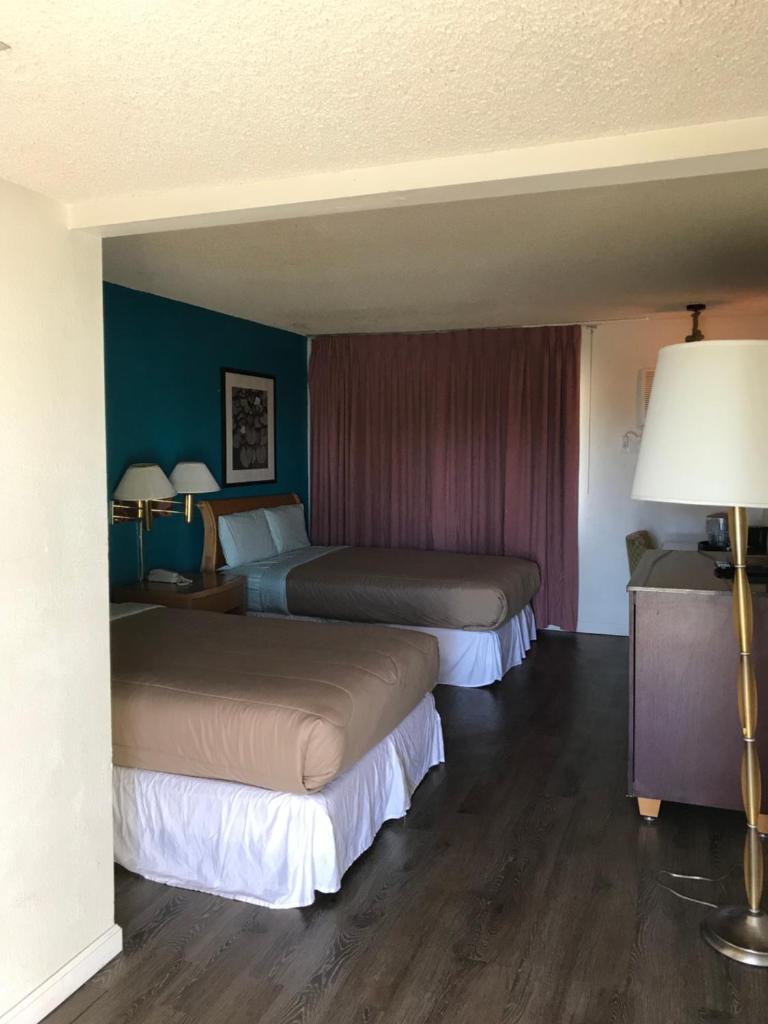 Delos Reyes Palm Springs photo 4