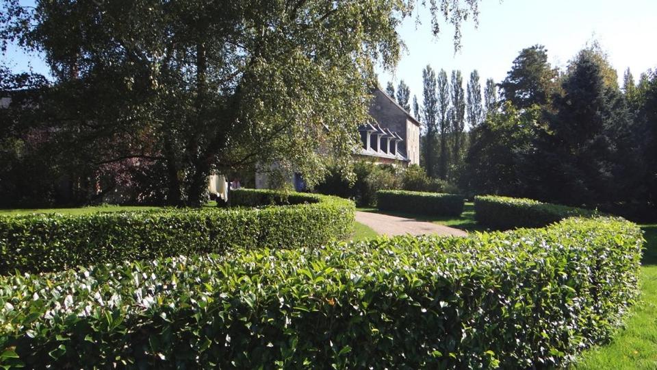Le Moulin de Chareau photo 3