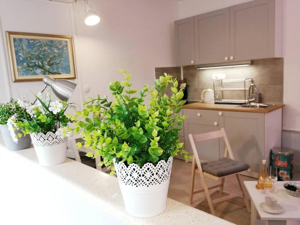 Apartman Unka photo 2