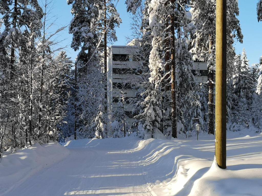 Nasta Apartment photo 3