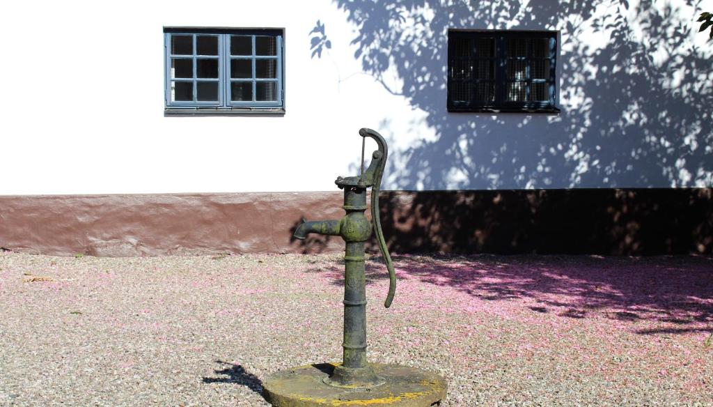 Österlens Karlsgård photo 2