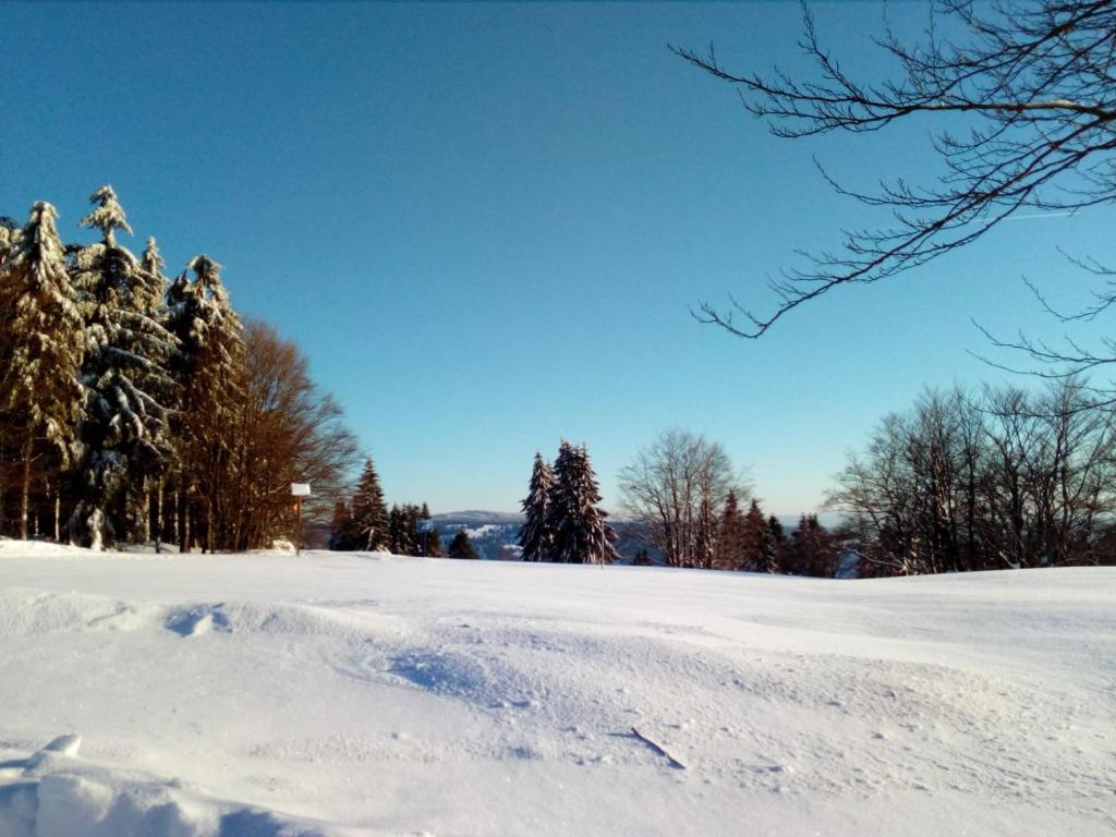 Fewo-Mueller photo 3
