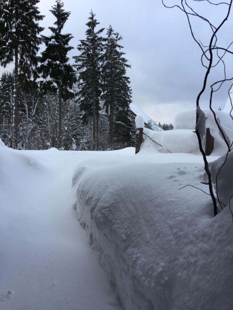HT Chalets Harrachov photo 3