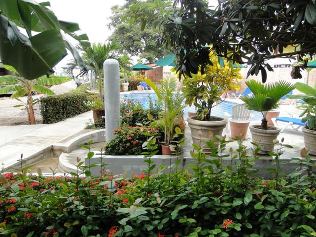 Paraiso del Pescador photo 4