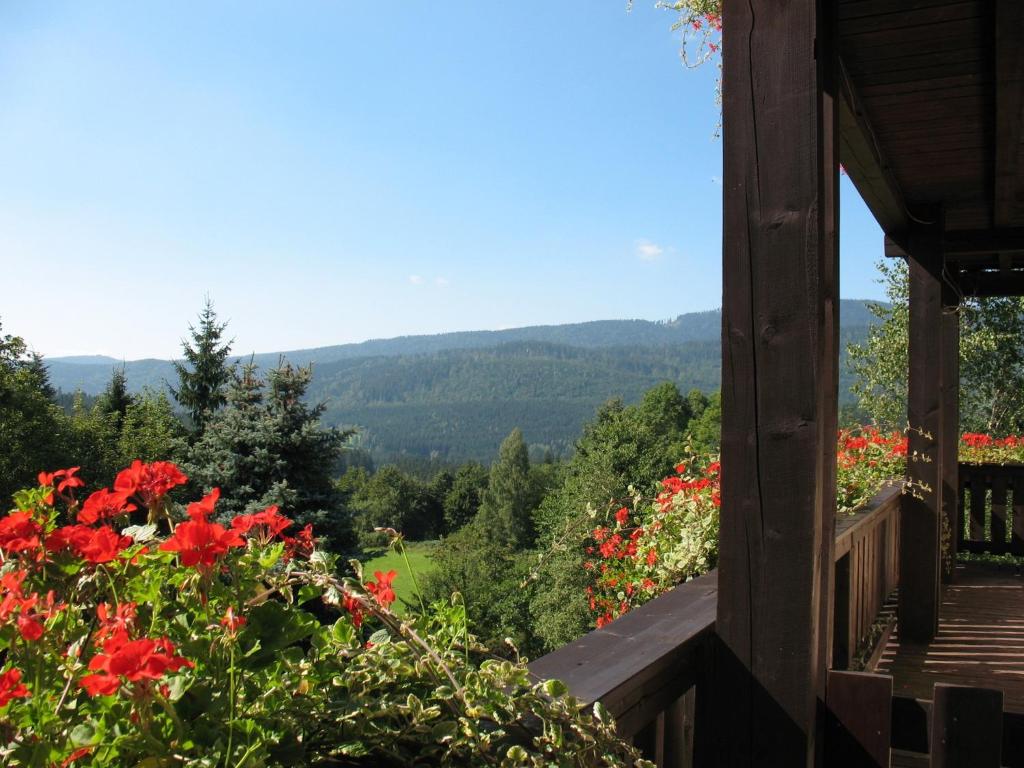 Falkenhof classic photo 3
