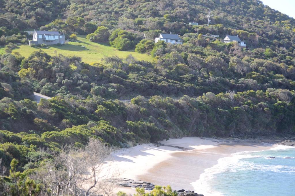 Points South By The Sea photo 4