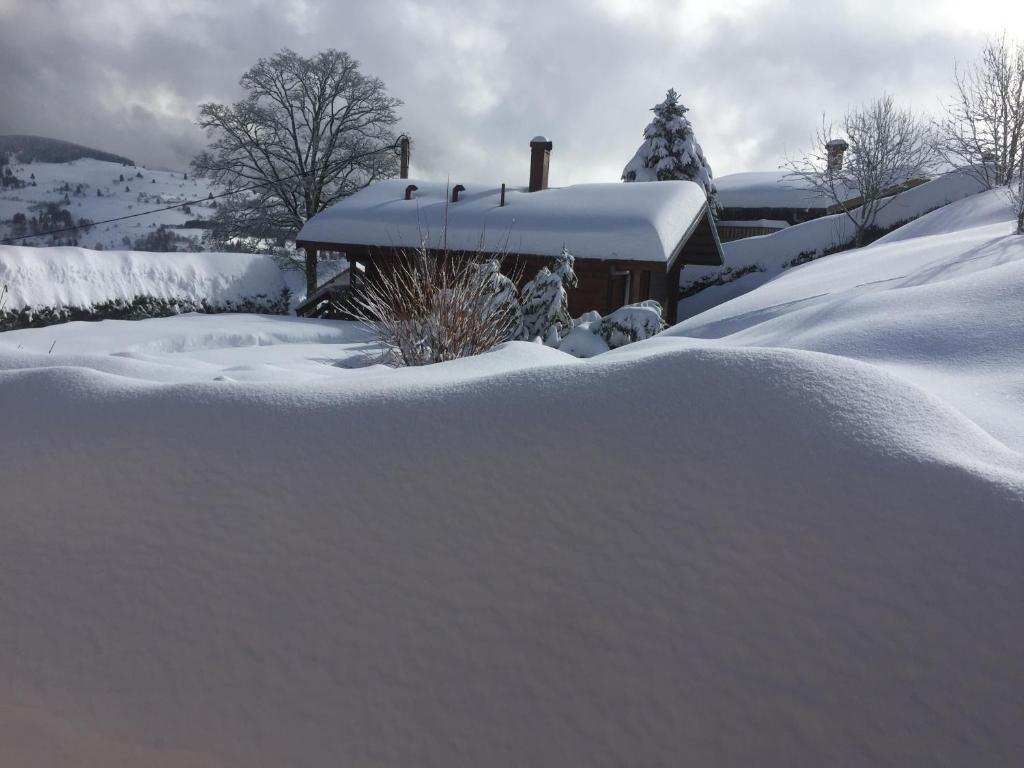 Les Bruyeres photo 4