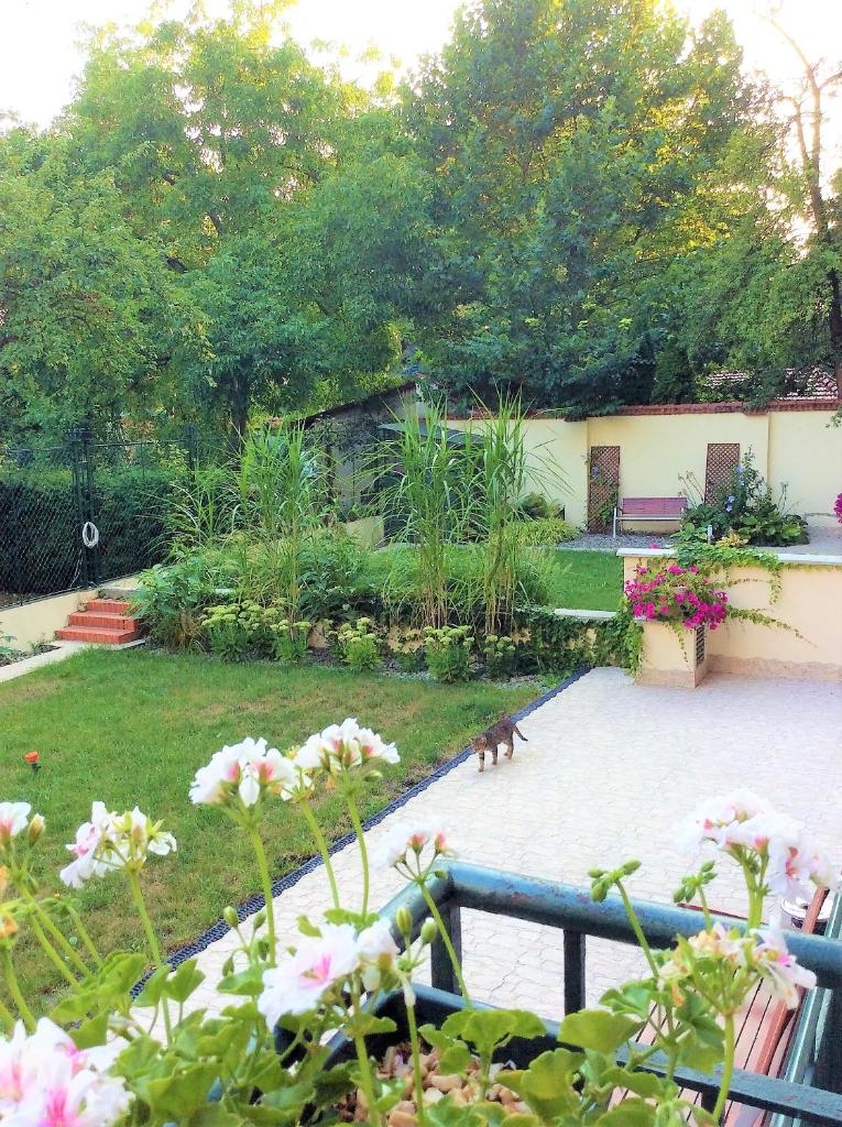 Апартаменты (Апартаменты), Apartament Amaryllis