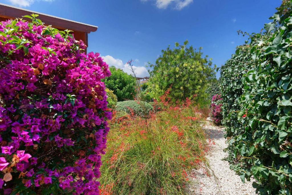 Villa Pashiana photo 4