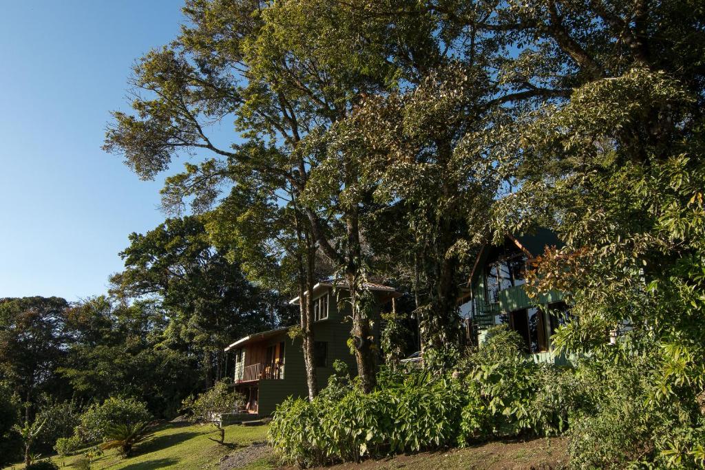 Hotel Flor de Bromelia photo 2