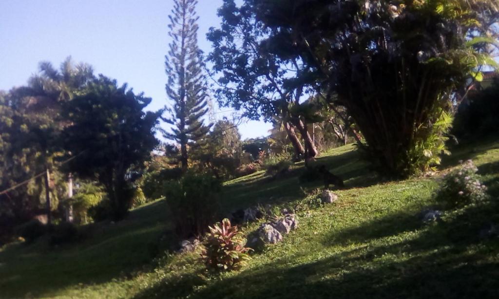 Shotover Gardens Estate photo 1