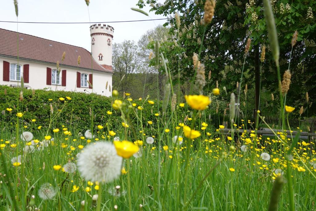 Pension Kastanienhof photo 2