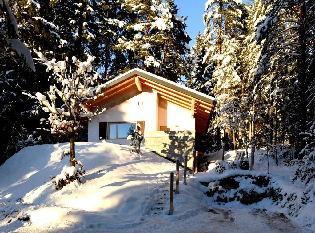 DAS HAUS IM WALD photo 1