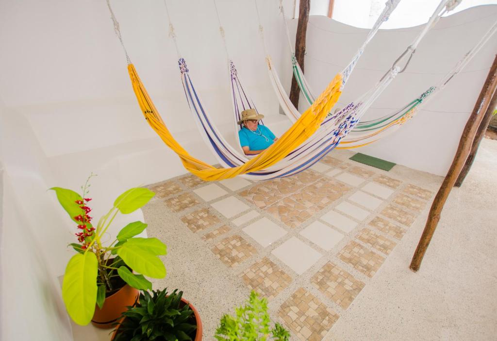 Hostal Sueños Silvestres photo 1