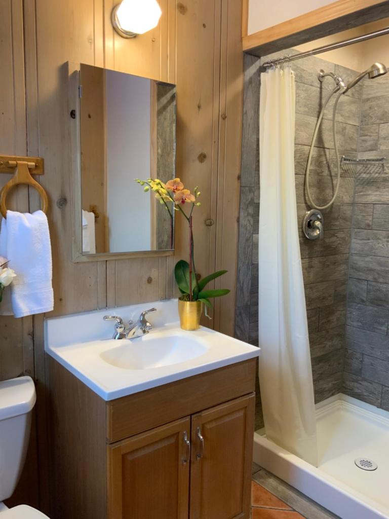 The Woods Hotel - Gay LGBTQ Cabins photo 1