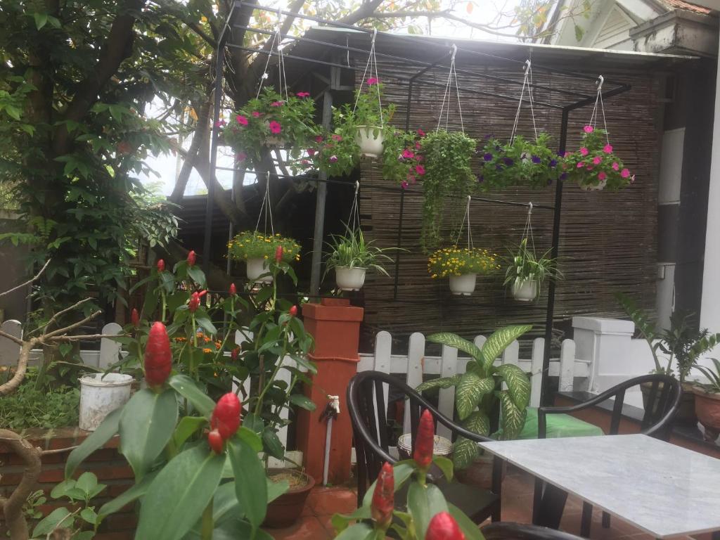 New Destination Hoi An