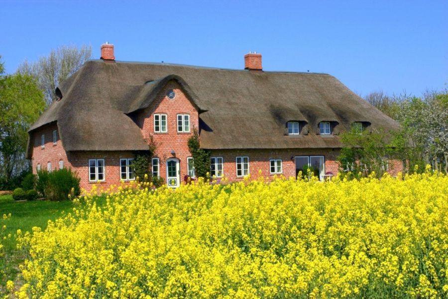 Alter-Gardinger-Deich-Wohnung-G-3