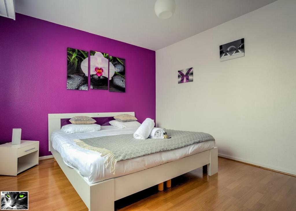 Appartement Spacieux Schiltigheim photo 3