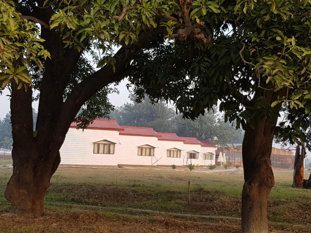Living Green Farms photo 1
