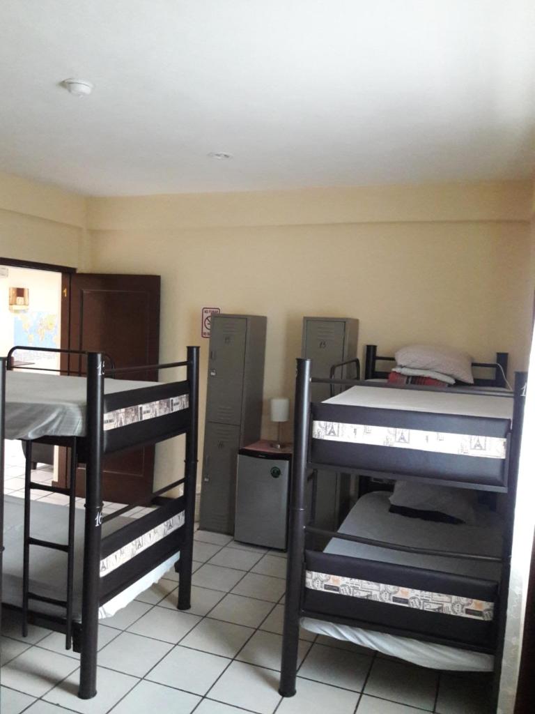 Alme Hostel photo 4