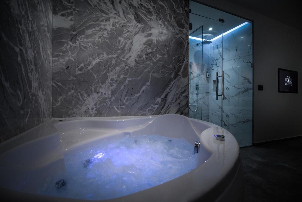 Двухместный (Двухместный номер Делюкс с гидромассажной ванной), Level Luxury Suites