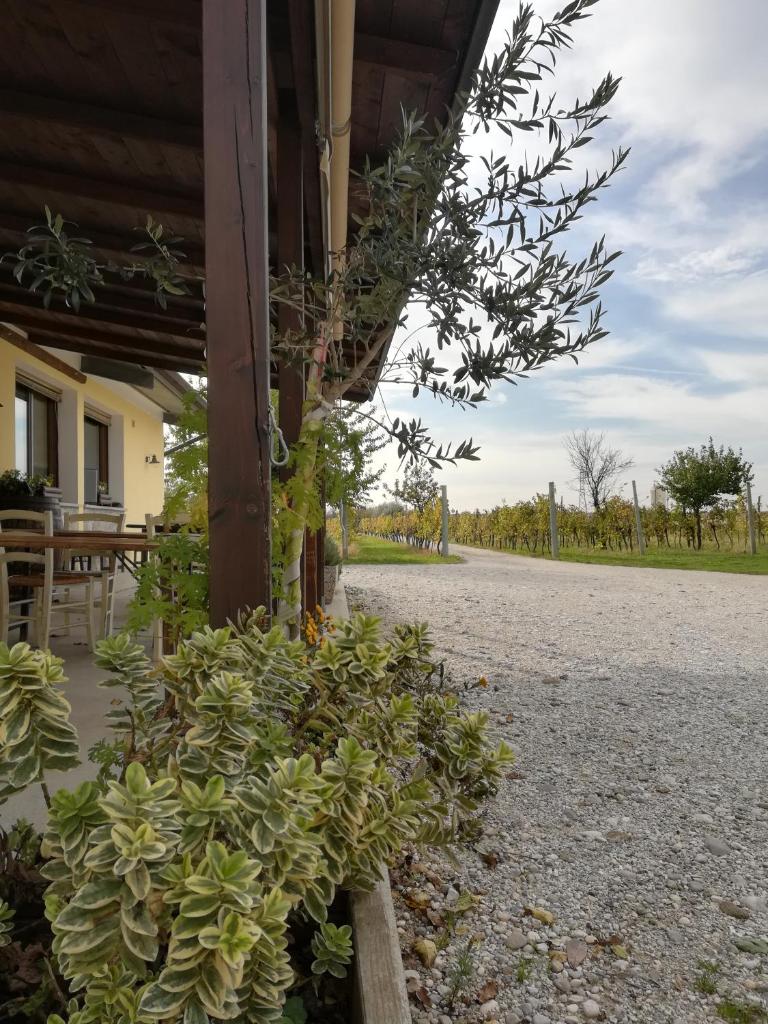 Agriturismo "La di Buiat photo 4