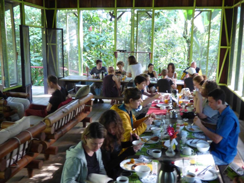 Yatama Rainforest Ecolodge photo 3