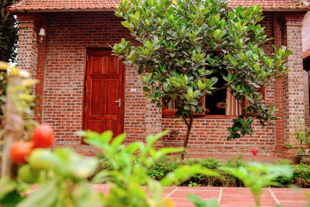 Ninh Binh Friendly Homestay