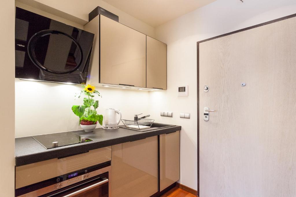 Студио (Номер-студио (для 4 взрослых)), VIP Apartamenty Stara Polana