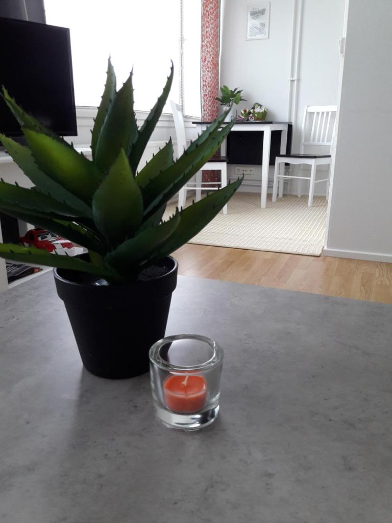 Hamina Orange Apartments Kadetti 1 photo 4