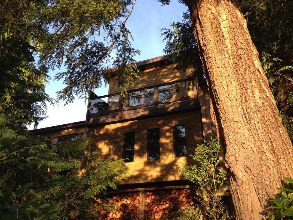 Hyphocus Inn photo 3