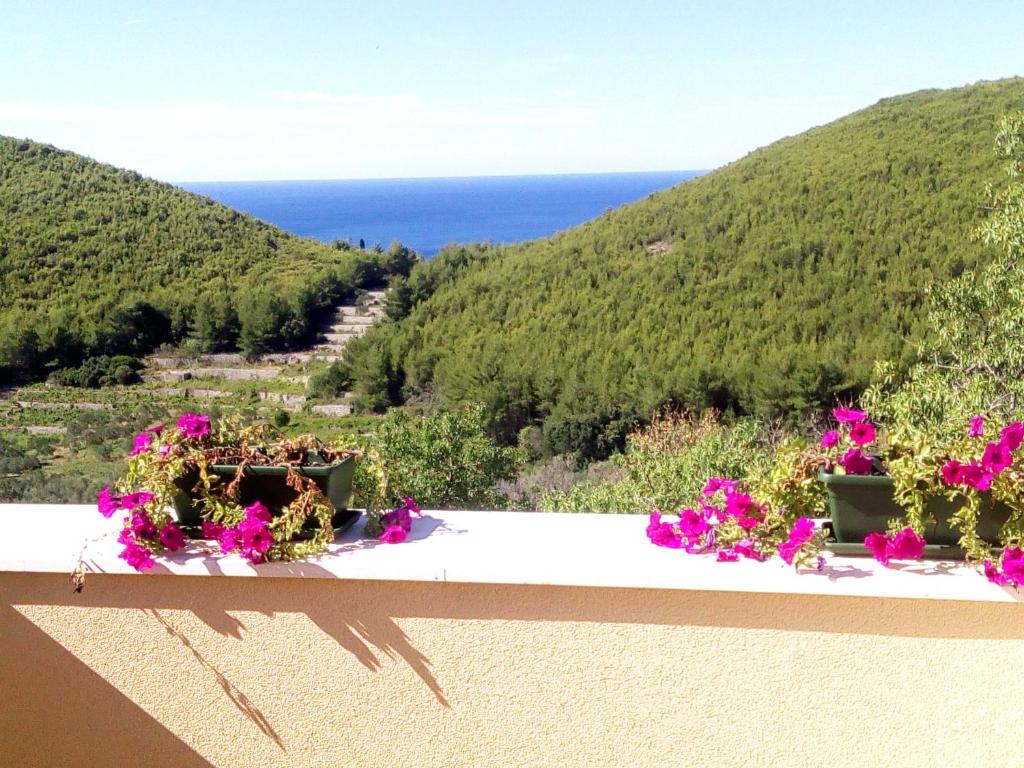 Holiday apartments Maslina Paho photo 2