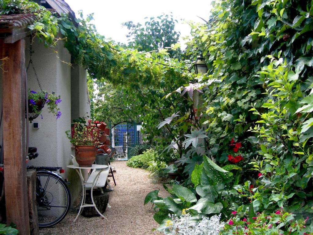Gîte de charme Courjumelle photo 1