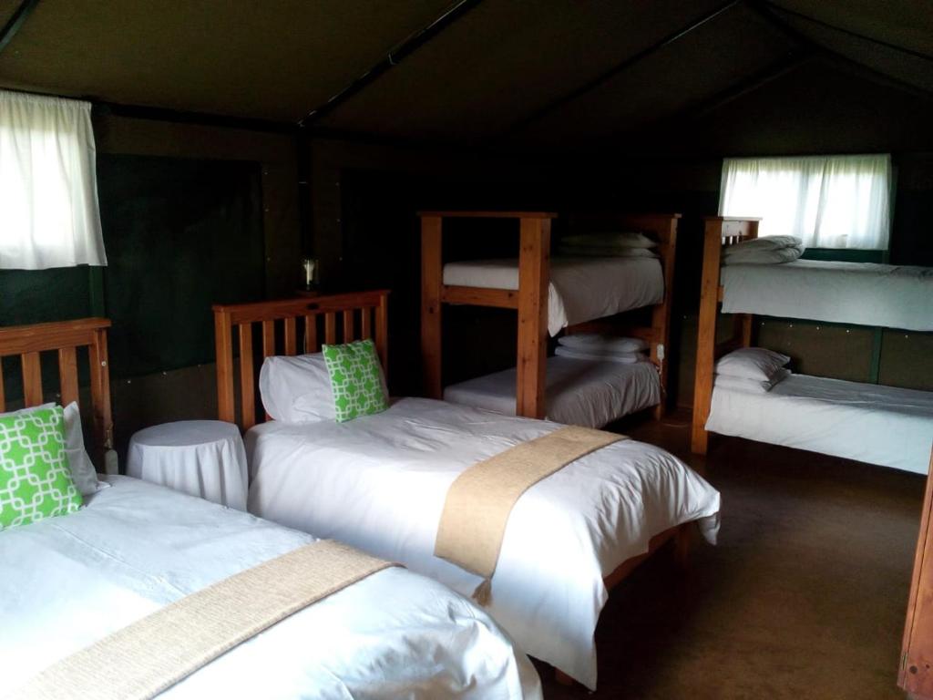 Sabie River Camp photo 2