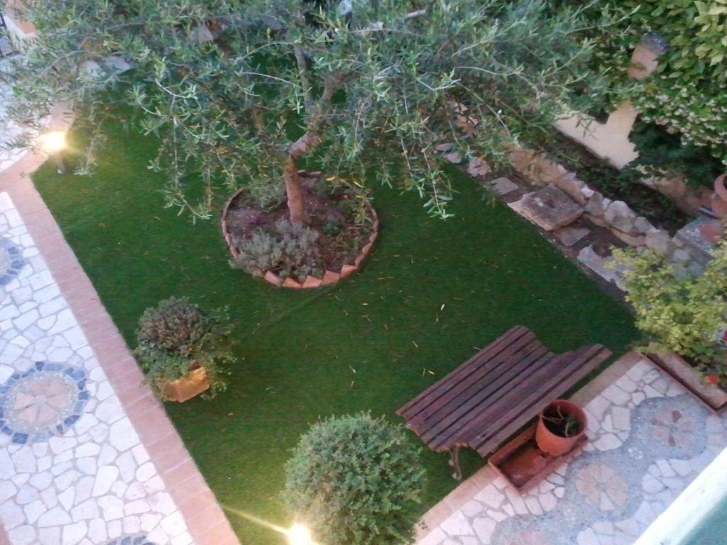 B&B Cribò photo 3